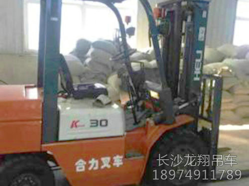 大小叉車-(2)