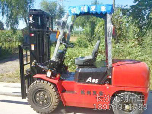 大小叉車-(3)